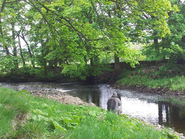 Riverfly Monitoring